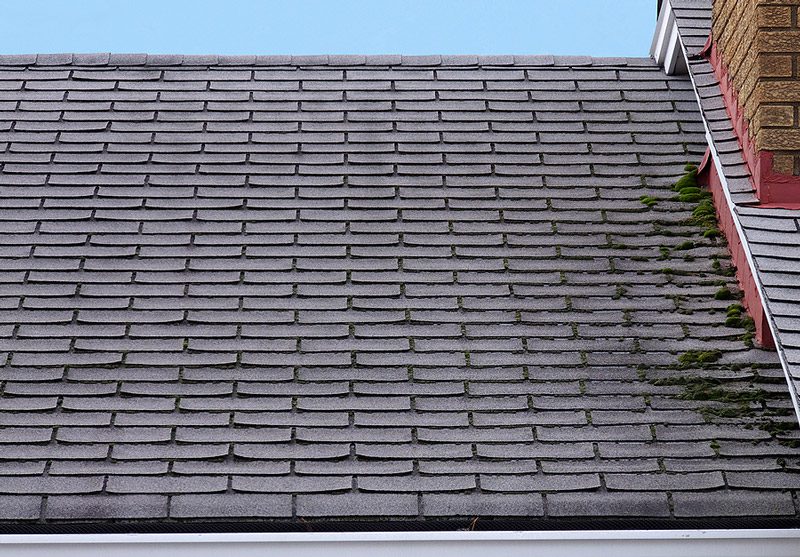 Leaky roof with moss